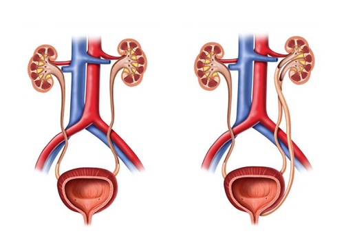 6. Hình ảnh minh họa và các nghiên cứu lâm sàng